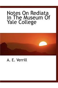 Notes on Rediata in the Museum of Yale College