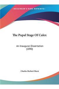 The Pupal Stage of Culex