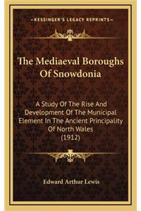 Mediaeval Boroughs Of Snowdonia
