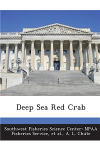 Deep Sea Red Crab