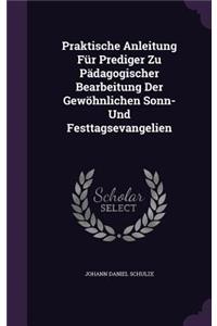 Praktische Anleitung Fur Prediger Zu Padagogischer Bearbeitung Der Gewohnlichen Sonn- Und Festtagsevangelien