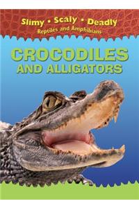 Crocodiles and Alligators