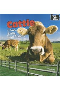 Cattle