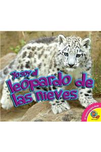 Leopardo de Las Nieves