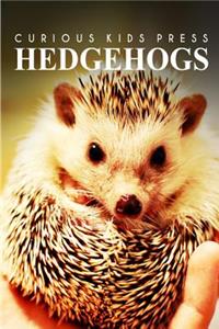 Hedge Hogs - Curious Kids Press