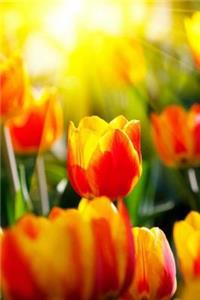 MindBlowing Tulip Journal 3