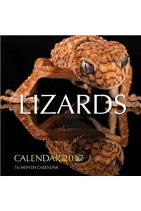 Lizards Calendar 2017