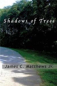 Shadows of Trees
