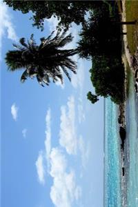 Beach on Fanning Island Republic of Kiribati Journal