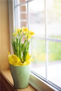 Spring Daffodils on the Windowsill Journal