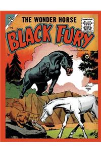Black Fury # 3