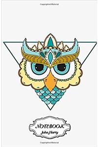 Owl in the Triangle Notebook