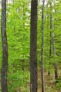 Journal Springtime Forest