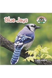 Blue Jays