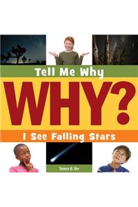 I See Falling Stars