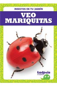 Veo Mariquitas (I See Ladybugs)