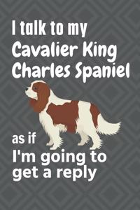 I talk to my Cavalier King Charles Spaniel as if I'm going to get a reply