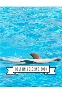 Dolphin Coloring Book