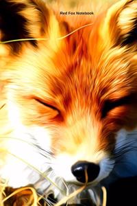 Red Fox Notebook