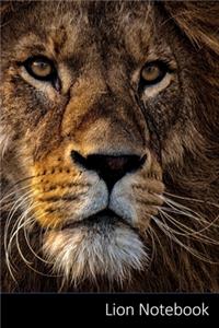 Lion Notebook