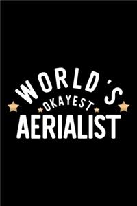 World's Okayest Aerialist