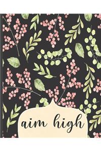 Aim High