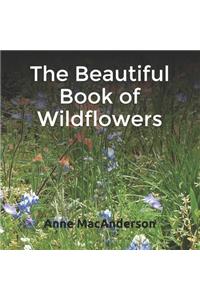The Beautiful Book of Wildflowers