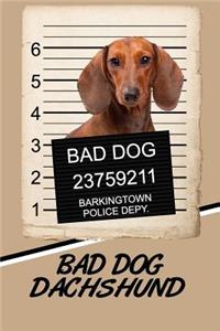 Bad Dog Dachshund