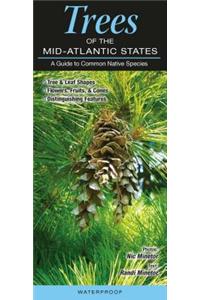 Trees of the Mid-Atlantic States