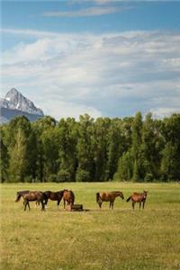 Chestnut Horses in the Wild
