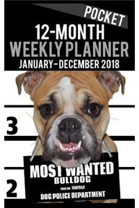 2018 Pocket Weekly Planner - Most Wanted Bulldog