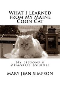 What I Learned from My Maine Coon Cat
