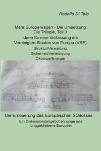 Mehr Europa wagen - Die Umsetzung