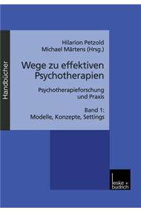 Wege Zu Effektiven Psychotherapien