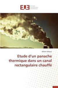 Etude D Un Panache Thermique Dans Un Canal Rectangulaire Chauff�