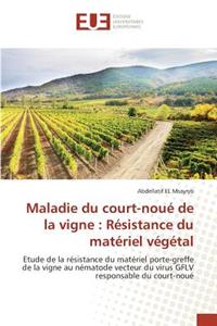 Maladie Du Court-Noué de la Vigne