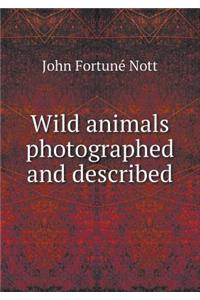 Wild Animals Photographed and Described