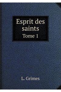 Esprit des saints Tome 1