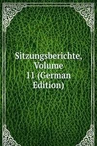 Sitzungsberichte, Volume 11 (German Edition)