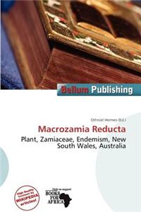 Macrozamia Reducta