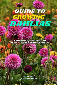 Guide to Growing Dahlias