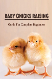 Baby Chicks Raising