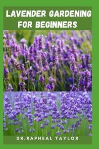 Lavender Gardening for Beginners