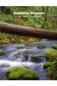 Beautiful Streams Full-Color Picture Book