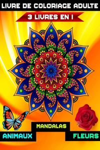 3 livres en 1 livre de coloriage adulte