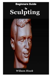 Beginner Guides to Sculpting