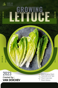 Lettuce