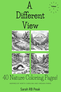 Different View Volume One