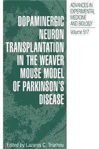 Dopaminergic Neuron Transplantation in the Weaver Mouse Model of Parkinson's Disease