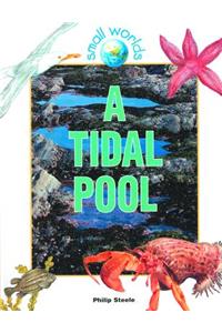 Tidal Pool